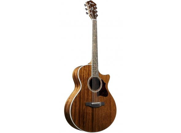 Ibanez AE245-NT