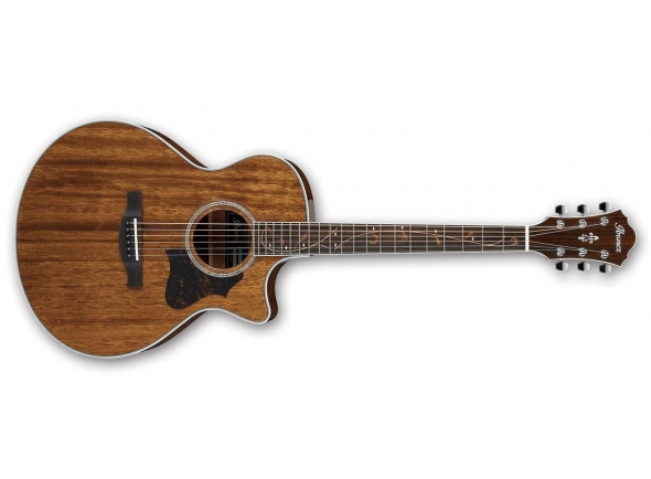Ibanez AE245-NT