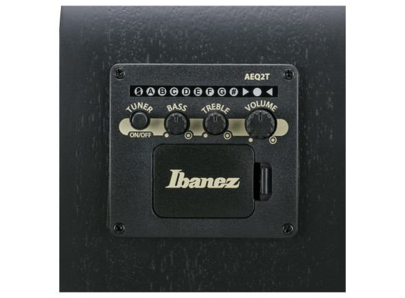 ibanez-aegb420-black-out_6a5a3301c0509.jpg
