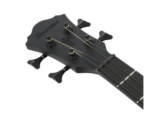 ibanez-aegb420-black-out_6a5a330578d1e.jpg