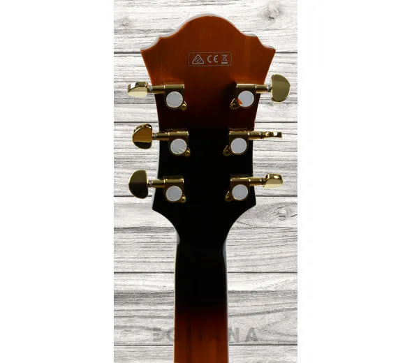 ibanez-af95-bs_61162e77e3d14.webp