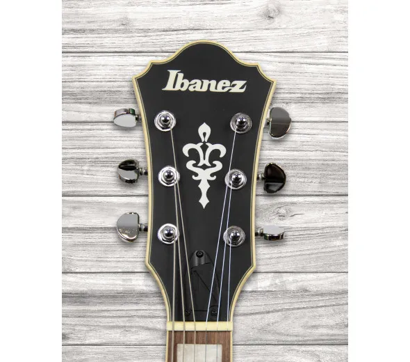 ibanez-afs75t-mgf_6093d26321230.webp