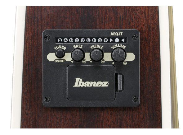 ibanez-alt50fa-bdb_6981c6532b1ea.jpg