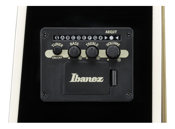 ibanez-alt50fa-rdb_6981c82281cc0.jpg