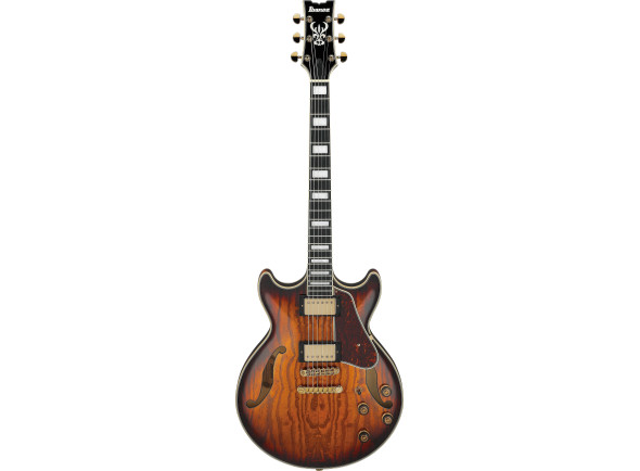 Guitarras con forma de cuerpo hueco Ibanez