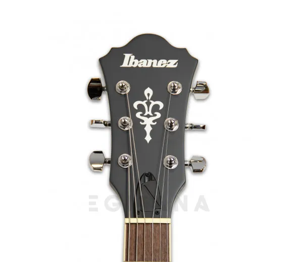 ibanez-as53-tbf_5ffc73019cbf6.webp