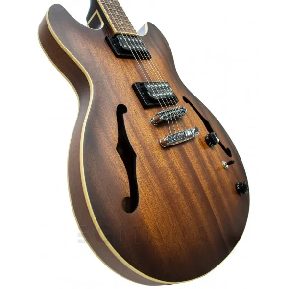 ibanez-as53-tf_5efe015b7be43.webp