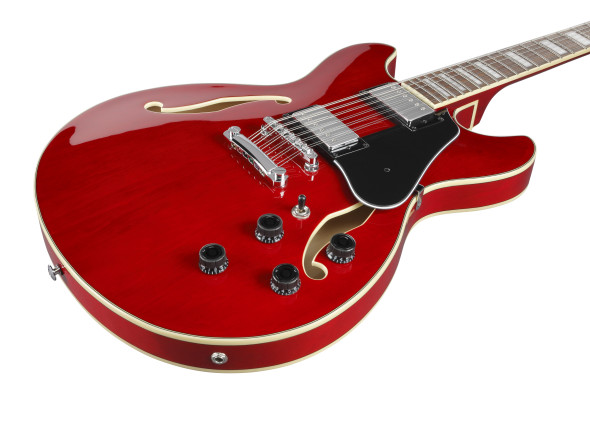 ibanez-as7312-tcd_6a5605e53375e.jpg