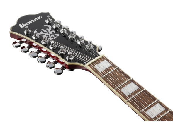 ibanez-as7312-tcd_6a5605ea274f5.jpg