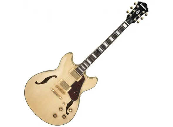 ibanez-as73g-nt_5dcd753dc477f.webp