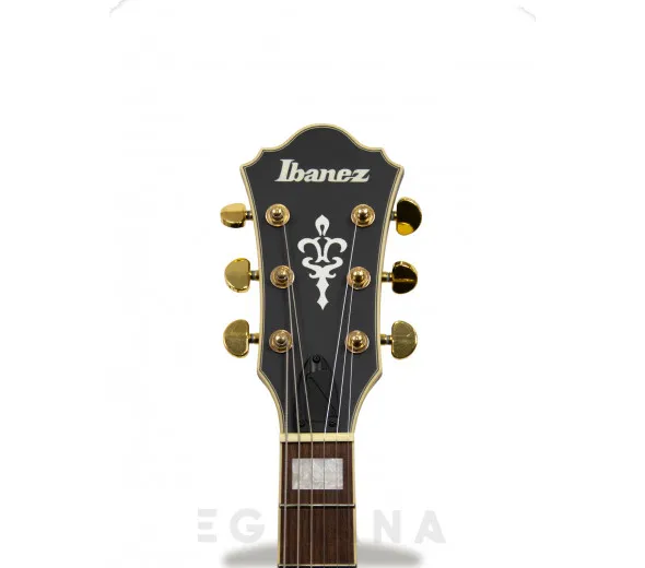 ibanez-as73gbkf_6058b04cad95e.webp