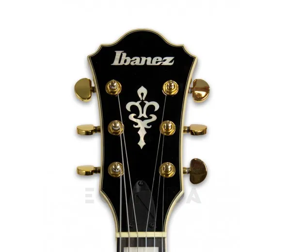 ibanez-as93fm-vls_5fbe732262c87.webp