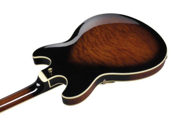 ibanez-as93qmsp-dbs_679753612c8b3.jpg