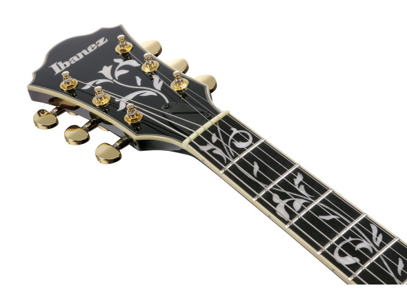 ibanez-as93qmsp-dbs_67975365f245c.jpg