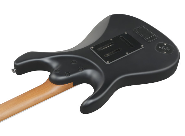 ibanez-ber10-bernth-signature-bk_69f1e0a537571.jpg