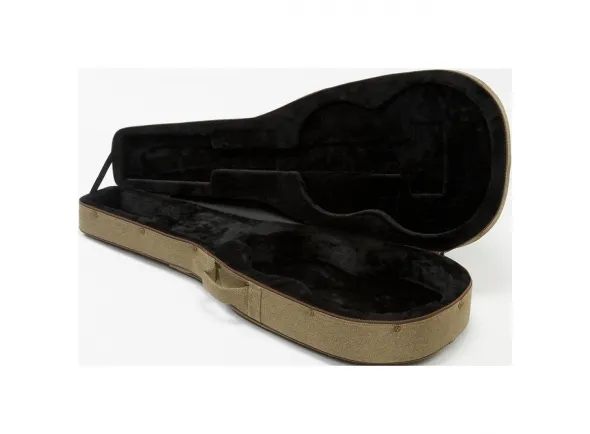ibanez-classic-guitar-case-fs40cl_5dc4533cec56b.webp