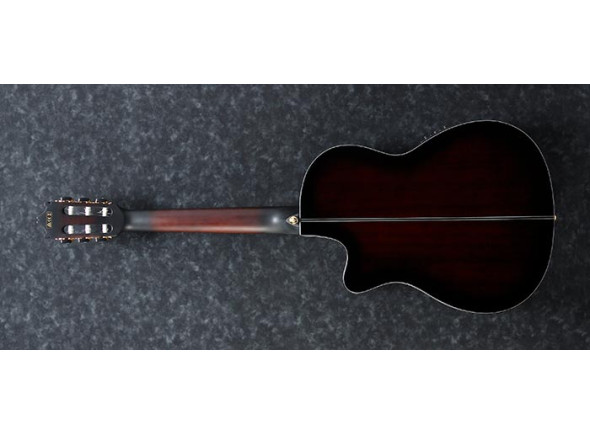 ibanez-ga35tce-dvs_692818c6976bf.jpg