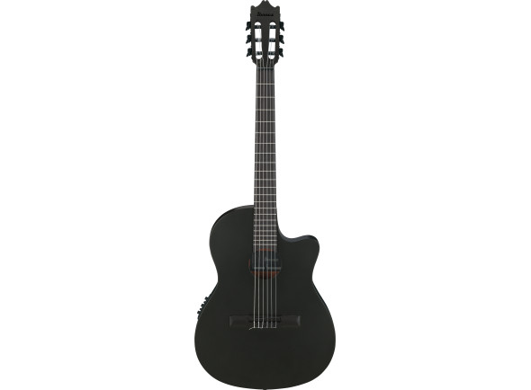 Guitarra clásica Ibanez