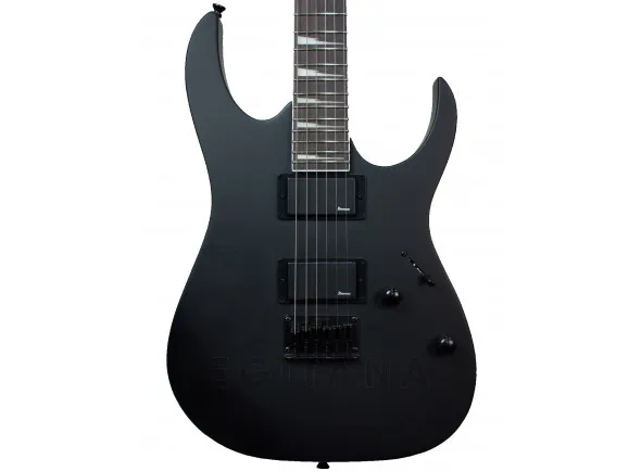 ibanez-grg121dx-black-flat_605a2bdcb80ad.webp