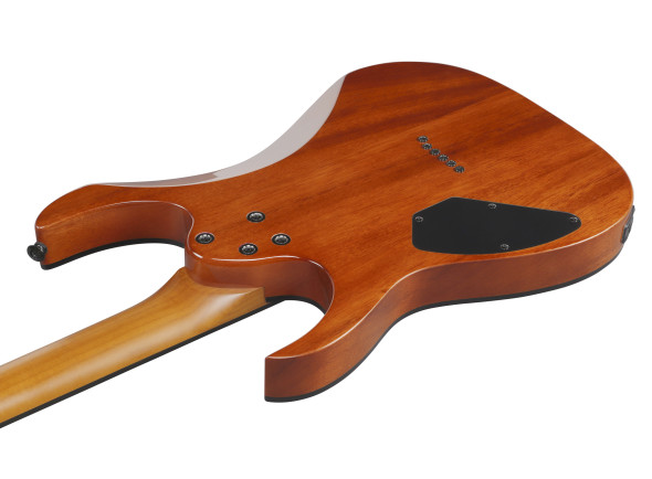 ibanez-grgr221fa-tdk_69676ff1b66a0.jpg