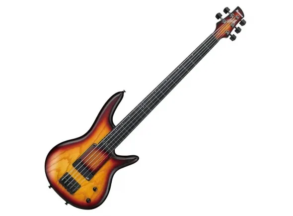 ibanez-gwb20th-tqf_5caf6d9b6d5de.webp