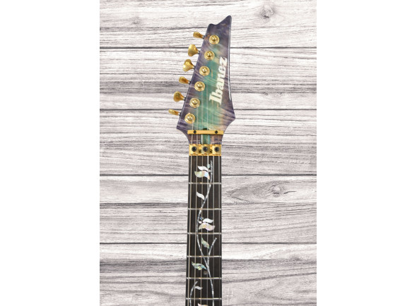 ibanez-iv2rg-visions-rg_6a561019c415c.jpg