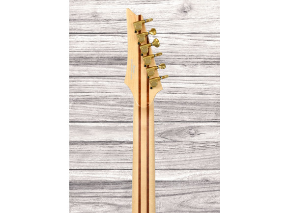 ibanez-iv2rg-visions-rg_6a56101c54263.jpg