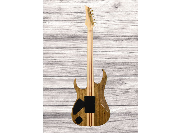 ibanez-iv2rg-visions-rg_6a56102172dd4.jpg