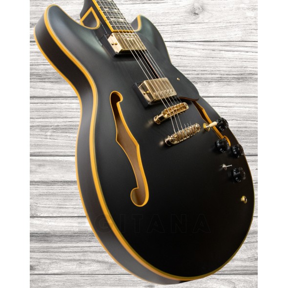 ibanez-jsm-20-black-low-gloss_5f69b3795da6b.jpg