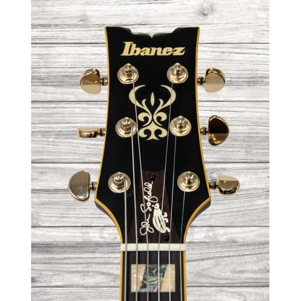 ibanez-jsm-20-black-low-gloss_5f69b37f4a5ea.webp