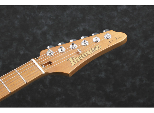ibanez-mmn1-tab-martin-miller_6a69c51d93b7f.jpg