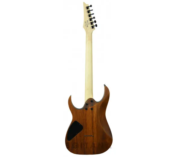 ibanez-rg421-mol_612379152a75d.webp