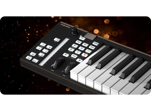 icon-pro-audio-artist-49x_6a2c086cb1870.jpg