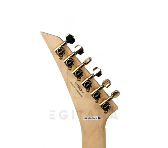 jackson-pro-series-rhoads-rr3-ebony-fingerboard-ivory-black-pinstripes_602a45eb9a8dd.webp