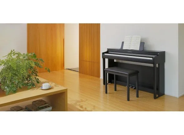 kawai-cn27_58e660d8c6d14.webp