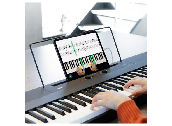 korg-l1-liano_63ef585bbb5c5.jpg