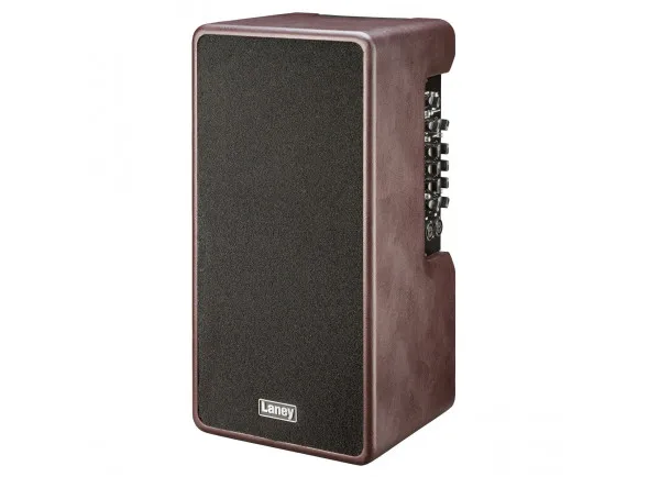 laney-a-duo_60db2cf76fbe7.webp