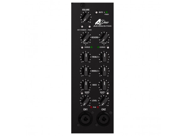 laney-a-duo_60db2cf998f7a.jpg