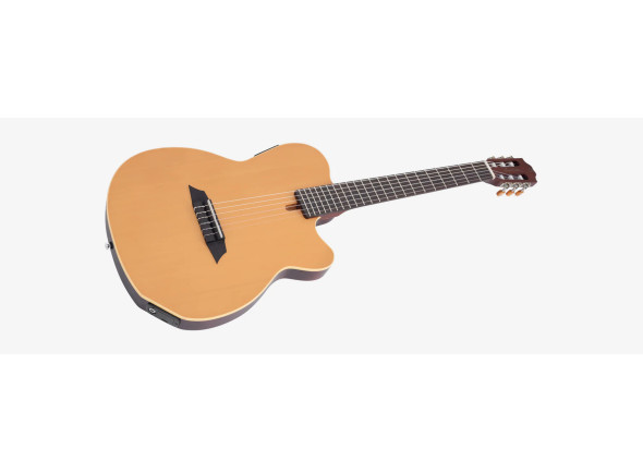 Larry Carlton G5N Natural