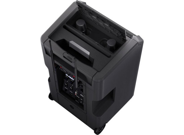 ld-systems-anny-10-hhd-2-b8_6a7b32db5c5dd.jpg
