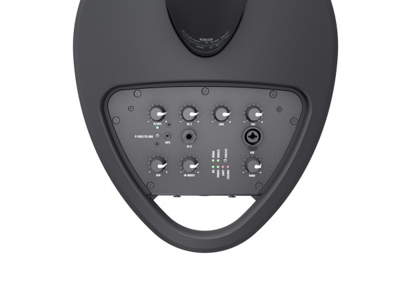 LD Systems  MAUI 5 GO 100