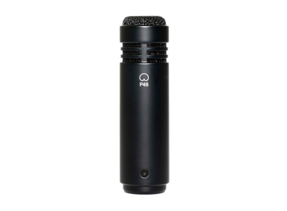 Lewitt   LCT 040 MATCH stereo pair 