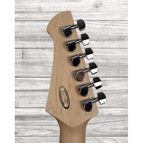 line6-variax-standard-vw_5f5a5b6387960.webp