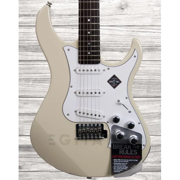 line6-variax-standard-vw_5f5a5b6486bdd.webp