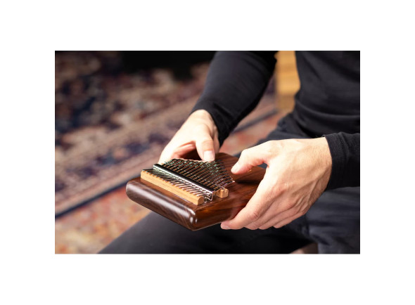 meinl-solid-pickup-kalimba_69a16e694ec3d.jpg