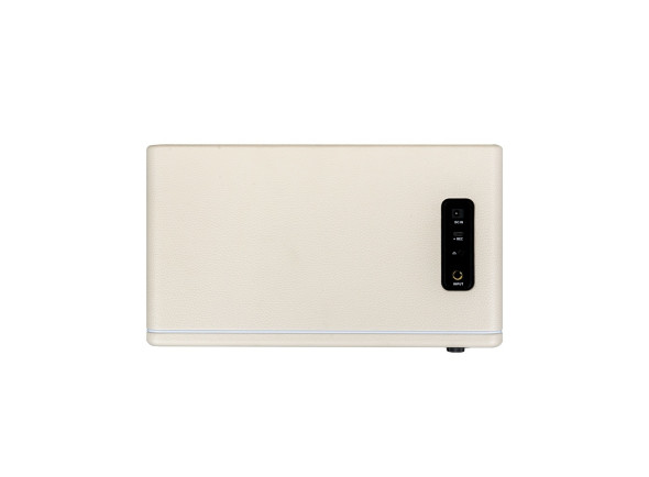 Mooer  Hornet 30i Modeling Amp White