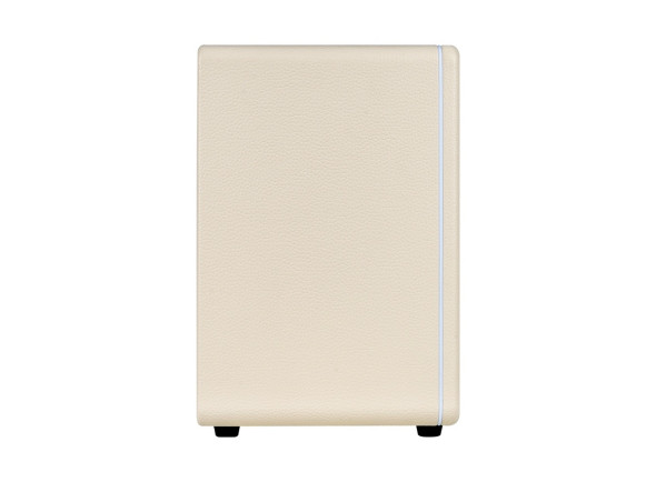 Mooer  Hornet 30i Modeling Amp White