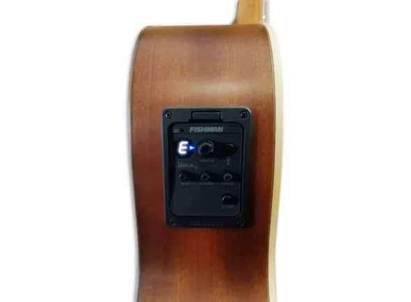 paco-castillo-220-ce-equalizador-cutaway-cedro-sapele_603fb54b47a67.webp