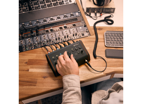 palmer-monicon-l-g2_68e8c7b646456.jpg