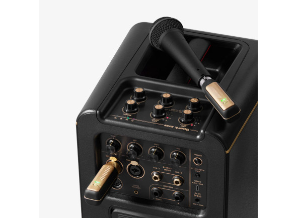 Positive Grid Spark Link XLR